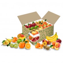 Große Buerobox Premium